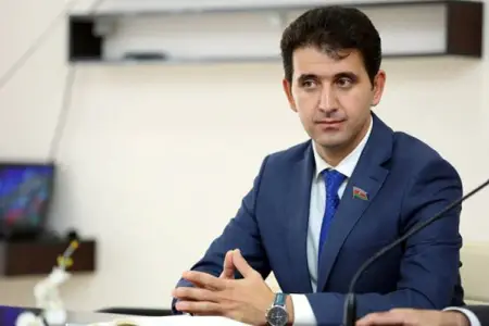 Naqif Həmzəyev: Şəhid analarının iş problemi həll olunmur