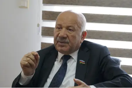 Səyyad Aran: Nazir qəbuluna əsl şikayətçilər buraxılmır