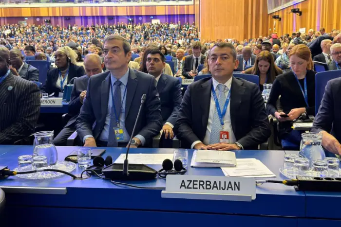 Yusif Nəbiyev AEBA-nın Vyana sessiyasında çıxış edib