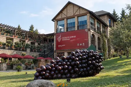Şamaxıda Üzüm və Şərab Festivalı sabah start götürür