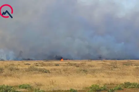 Cəlilabadda ovçuluq təsərrüfatında yanğın törənib