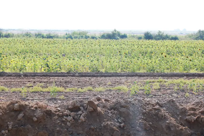 Sabirabadda aqrar Dövlət Proqramının icrası müzakirə edilib