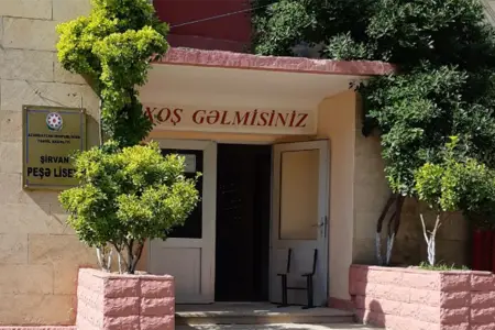 Şirvanda 20 ildir işlədiyi liseydən çıxarılan qadın şikayət edib