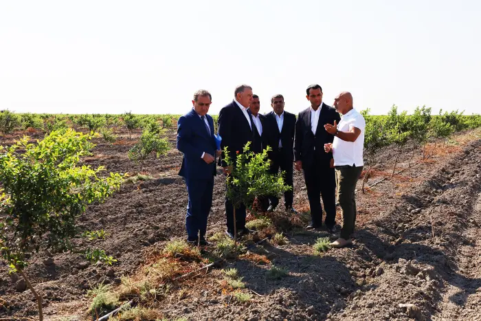 Sabirabadda aqrar Dövlət Proqramının icrası müzakirə edilib