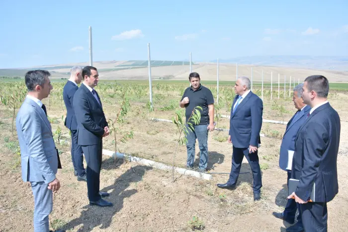 Şamaxıda 2026-2030 aqrar proqramı fermerlərə çatdırılıb