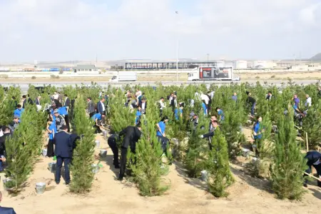 Qaradağda Anım Gününə həsr olunan ağacəkmə aksiyası keçirildi