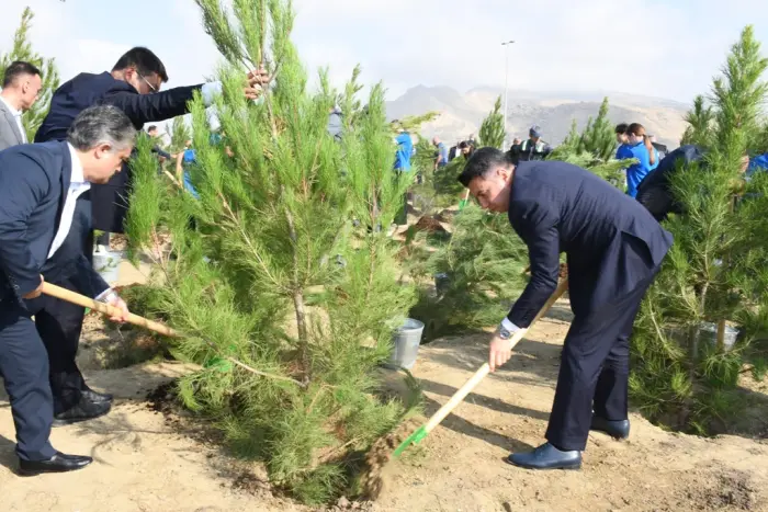 Qaradağda Anım Gününə həsr olunan ağacəkmə aksiyası keçirildi