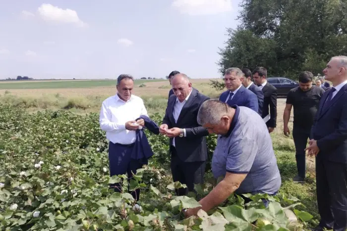 Goranboyda aqrar layihələrə baxış: yeni suvarma sistemləri