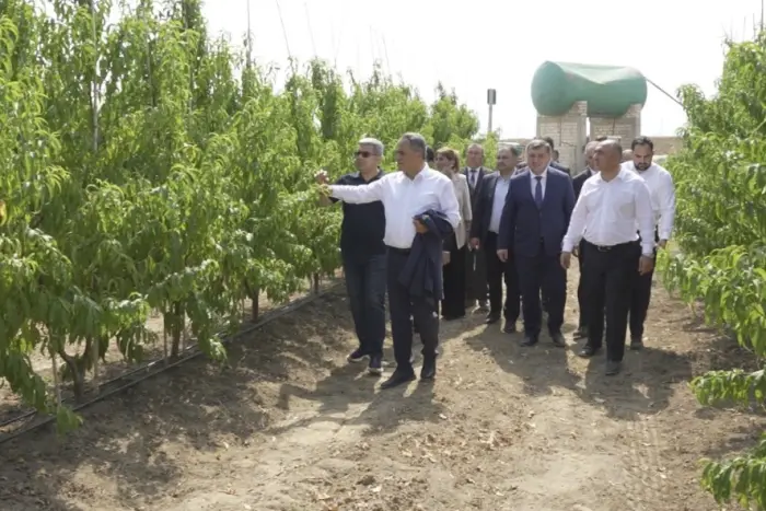 Goranboyda aqrar layihələrə baxış: yeni suvarma sistemləri