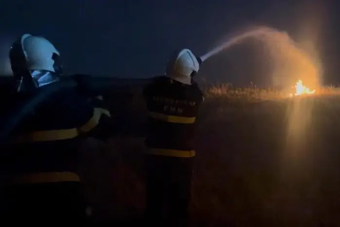 Qazaxın Aslanbəyli kəndində 1 hektar sahə yanıb
