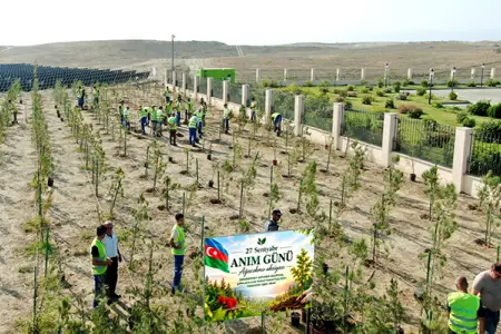 "AzərEnerji" Cəbrayılda və digər rayonlarda 3000 ağac əkdi