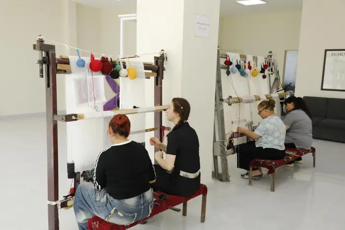 Cəbrayılda köçürülmüş sakinlər üçün 93 kiçik təsərrüfat yaradıldı