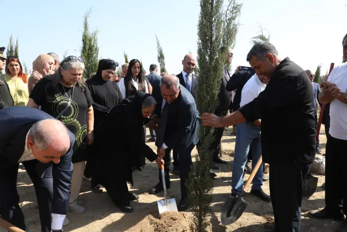 Suraxanıda Anım Günündə 750 sərv ağacı əkildi