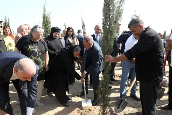 Suraxanıda Anım Günündə 750 sərv ağacı əkildi