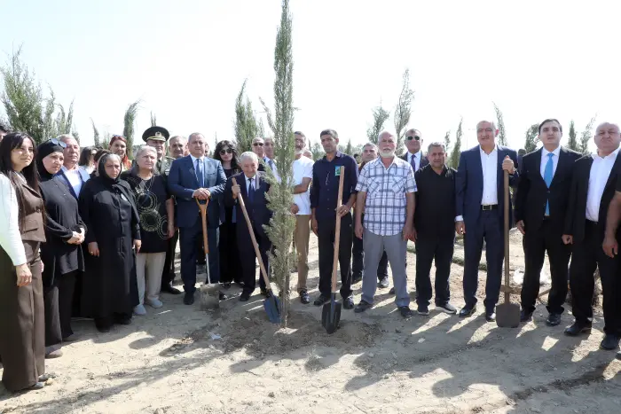 Suraxanıda Anım Günündə 750 sərv ağacı əkildi