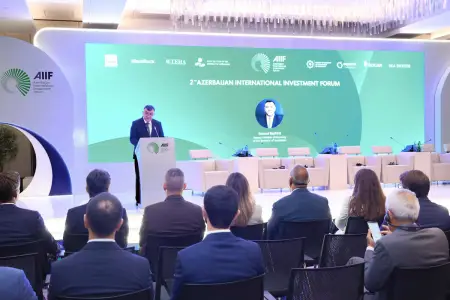 Bakı İnvestisiya Forumunda sənaye zonaları müzakirə edildi