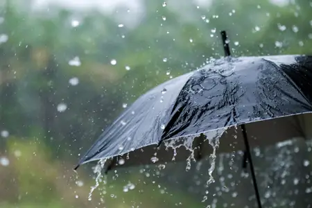 Quba və Qusarda yağış, bəzi bölgələrdə güclü külək