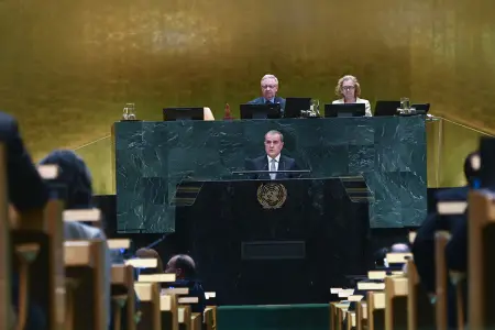 Bayramov: COP29-dan sonra iqlim səyləri davam edir