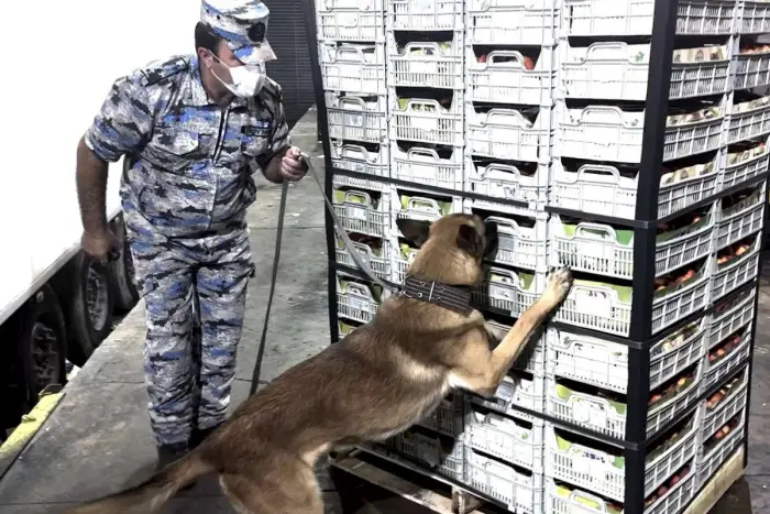 Astarada İrandan gələn yükdə 51 kq marixuana aşkarlandı