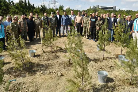 Yasamalda şəhidlərin xatirəsinə ağacəkmə aksiyası