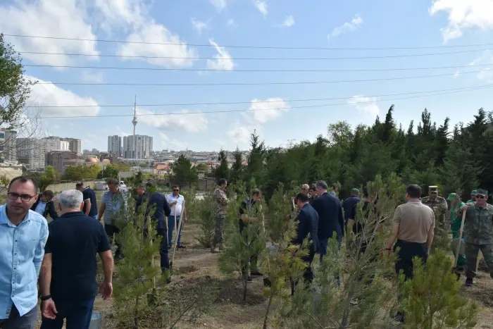 Yasamalda şəhidlərin xatirəsinə ağacəkmə aksiyası