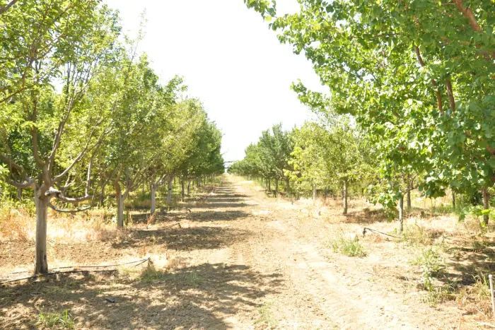 Biləsuvarda Dövlət Proqramının icrası müzakirə olunub