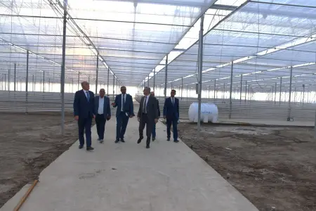 İqtisadiyyat