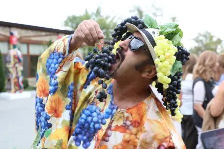 Şamaxının Meysəri kəndində Üzüm və Şərab Festivalı başladı