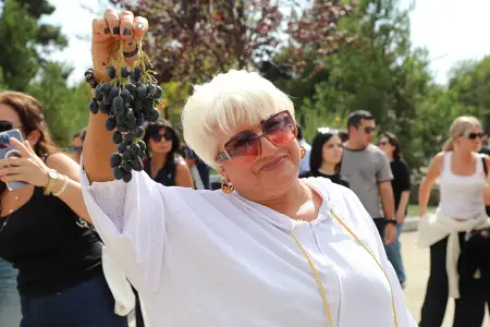 Şamaxıda Üzüm və Şərab Festivalı ikinci günündə davam edib